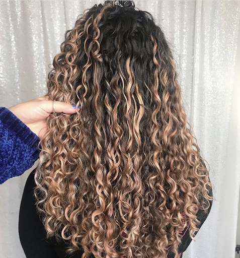 Find Your Perfect Color This Spring! - Curl Evolution